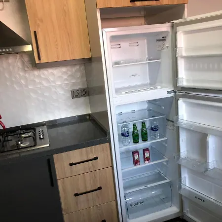 アパートホテル Sofya フェティエ